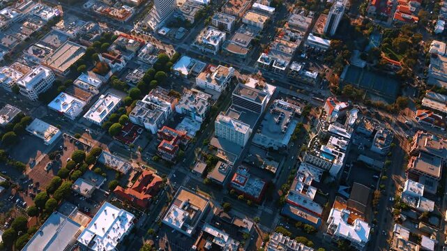 Rectangular roofs line intersecting streets in a dense neighborhood. An overhead view places green trees between white buildings with long shadows across the road grid.