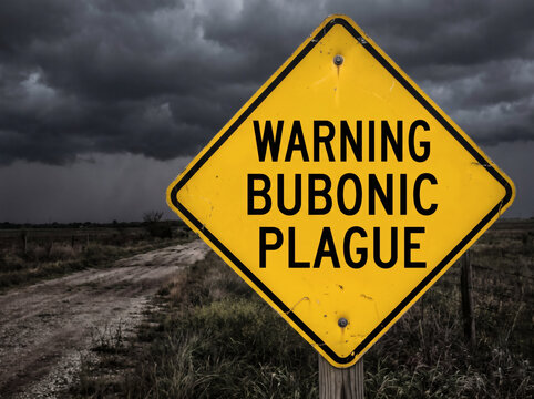 yellow warning sign for bubonic plague with dark storm clouds symbol of danger pandemic and epidemic alert in a dramatic sky