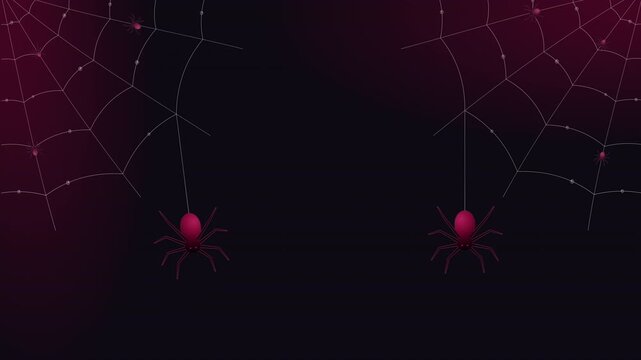 Spider Webs and Hanging Spiders on Halloween Background with Seamless Loop