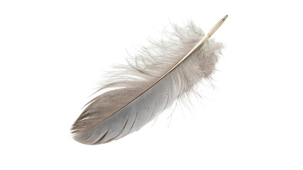 Single beautiful soft fluffy grey bird feather plume delicate texture graphic asset, isolated on transparent background. © Oliver Plaza Photo