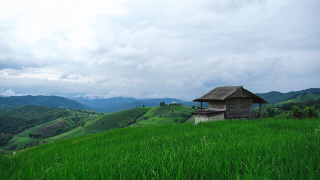 Wooden hut and rice terrace in the mountains on cloudy morning