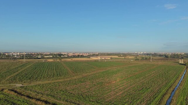Agricultural Landscape Under Clear Skies: An expansive aerial view showcases neatly cultivated fields stretching towards a distant town under a bright, cloudless sky.