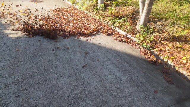 First Person View of Clearing Autumn Leaves with a Leaf Blower