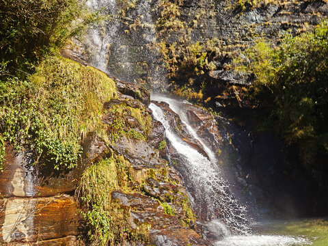 Water flows down a rocky cliff in a quiet area surrounded by trees and green plants during the bright daytime