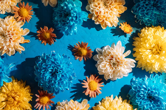 Blue and cream chrysanthemums around an open blue center with yellow floral accents.