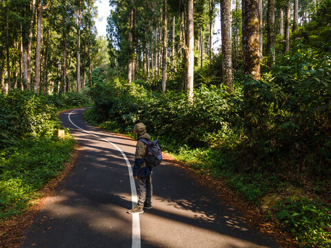 Aerial view of a person with a backpack standing on a winding asphalt road through a dense forest with tall trees and lush green foliage, Baturaden, Central Java, Indonesia.