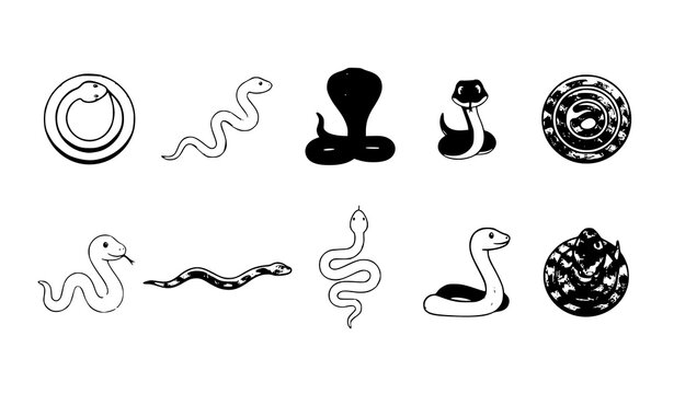 Green Snake Vector Icon Set with Cartoon Serpent Characters in Different Poses