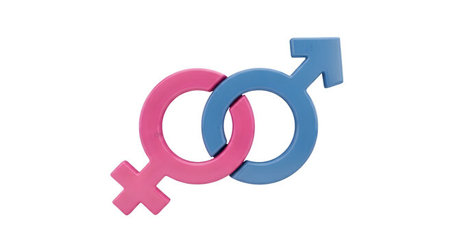 Interlocked Male and Female Gender Symbols Isolated on a Transparent Background for Relationship and Equality Concepts