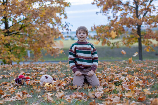Cute child in the park autumn time
