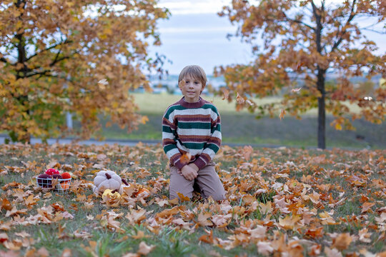 Cute child in the park autumn time