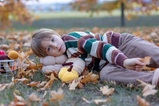 Cute child in the park autumn time