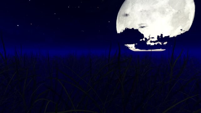 3D animation of a misty night lake with a huge low moon and wild ducks flying. Low angle tracking shot over dark water under a cloudy twilight sky with a hunting atmosphere in Bulgaria.
