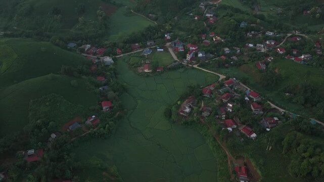 Aerial view of long coc tea hills plantation in vietnam