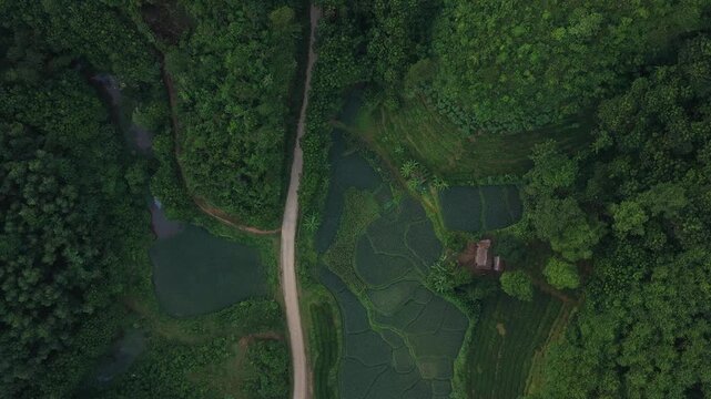 Aerial top down view of long coc tea hills in vietnam