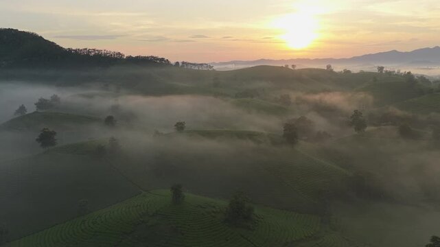 Long coc tea hills sunrise over foggy landscape in vietnam
