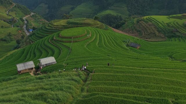 Aerial view of green rice terraces on mountainside in vietnam
