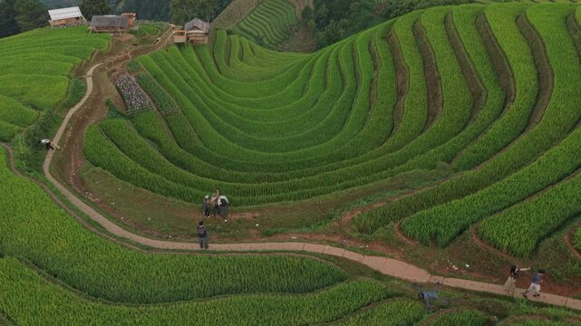 Aerial view of green rice terraces in mu cang chai, vietnam