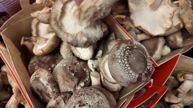 Customer hand picking fresh shiitake mushrooms