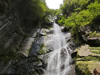 Close up of a waterfall cascading over a wide textured rock face. White foamy water splashing on dark stone. Green moss and trees on a cliff © Elena
