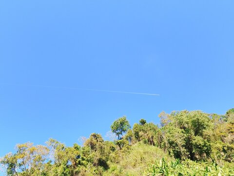 Blue sky with airplane scene and natural trees.
