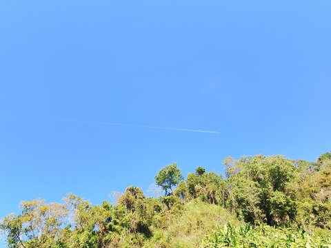 Blue Sky with natural green natural tress view.