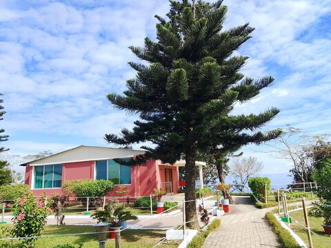 tropical resort hotel