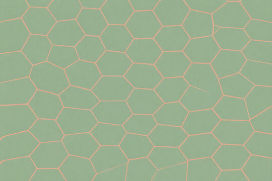 Irregular Voronoi Polygon Cell Abstract Background with Muted Moss Green and Dusty Coral Geometry