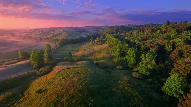 Aerial drone flight over rolling green hills and lush meadows at sunrise under a clear blue sky with surrounding forest trees