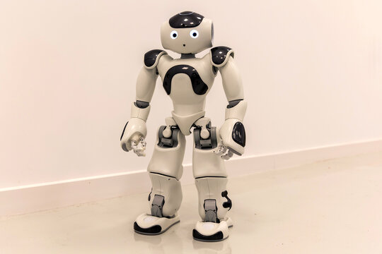 Humanoid robot