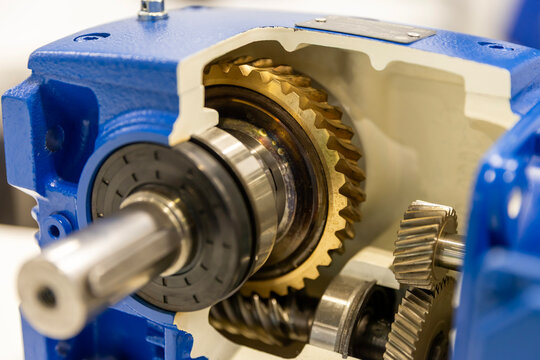 Cut-away cross-section of a gear reducer