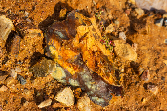 Stunning raw flint stone with vibrant chalcedony inclusions embedded in the warm orange clay of a sun-drenched quarry, highlighting natural geological beauty and earth mineral textures