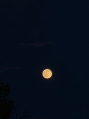 moon © Chanita