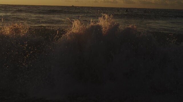 A dark wave rises and throws spray into warm early sunlight, with the open sea stretching to the horizon