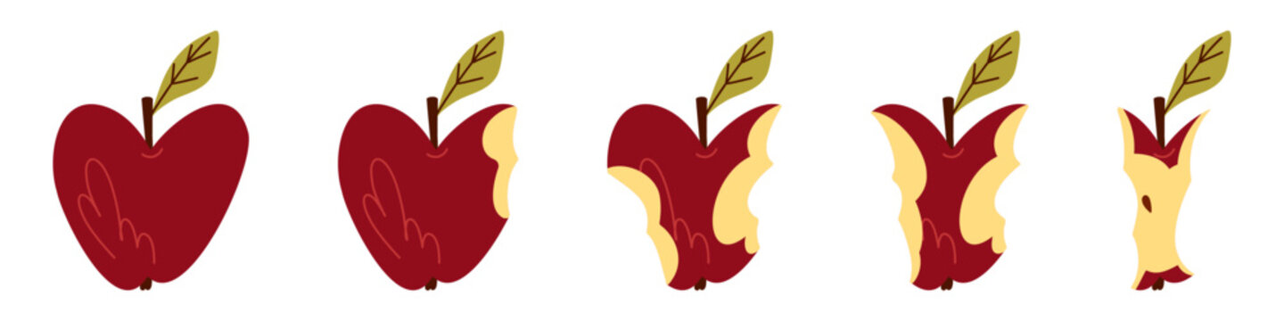 Red Apple Eating Sequence from Whole Fruit to Core, Simple Hand Drawn Food Illustration for Nutrition Education, Children Books, Healthy Eating Posters, Stickers and Educational Materials