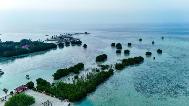 Aerial view of Pari Island featuring lush mangroves scattered across clear turquoise shallow waters