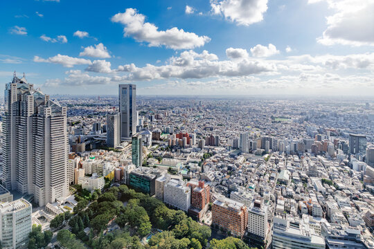 高層ビルの間から望む緑豊かな公園と東京の街並み