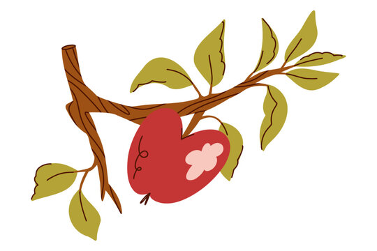Red Apple Growing on a Leafy Branch, Hand Drawn Botanical Fruit Illustration with Green Leaves for Orchard Branding, Organic Food Packaging, Gardening Materials, Autumn Posters and Natural Product 