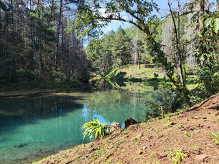 Turquoise forest pond surrounded by pine trees in San Juan Chamelco, Guatemala © JosManuel