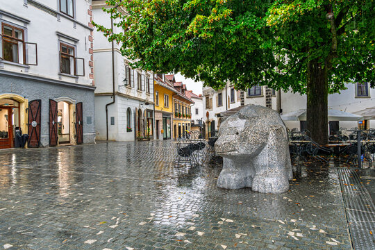 Stone bear sculpture in a wet cobblestone town square under a large tree in Skofja Loka, Slovenia