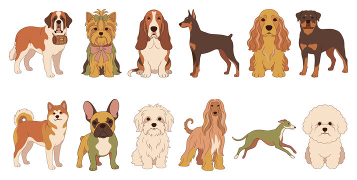 Various cute dog breed illustrations featuring Saint Bernard, Yorkshire Terrier, Doberman, French Bulldog, Cocker Spaniel, Afghan Hound, and Poodle characters