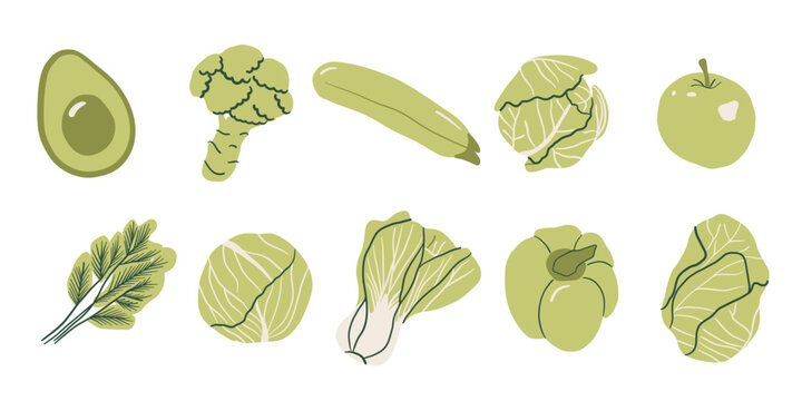 Green Vegetable Set Vector Illustration Healthy Food Hand Drawn Style