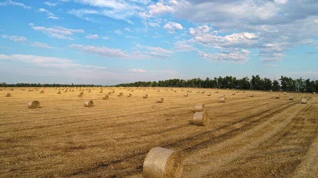 Smooth drone tracking crosses patterned stubble rows and scattered cylindrical straw bales as curved harvest lanes guide the eye toward a green forest border under a cloud filled summer sky