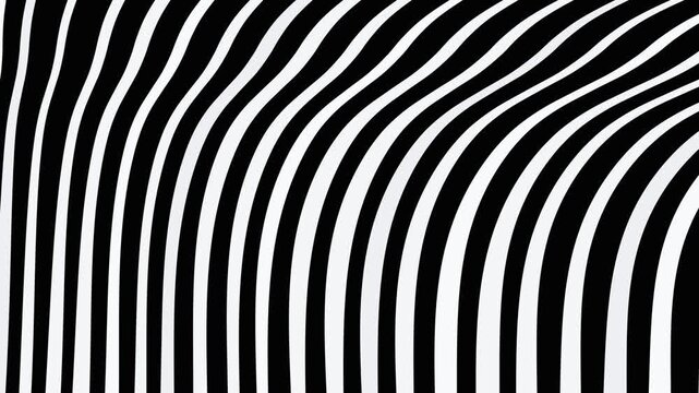 Seamless Animated Zebra Pattern with Flowing Black and White Stripes