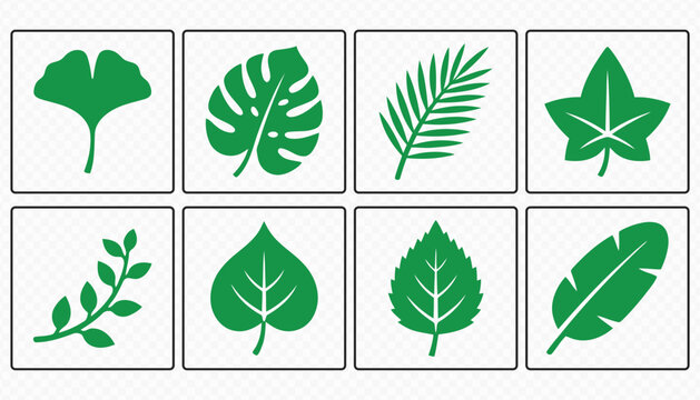 Nature Leaf Icons for Organic and Sustainable Design