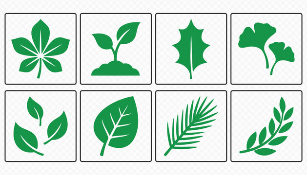 Eco Friendly Botanical Leaf Vector Illustration Set