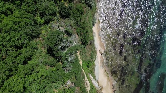 Aerial Top Down View of Forest Cliff and Wild Sandy Beach with Sea Waves