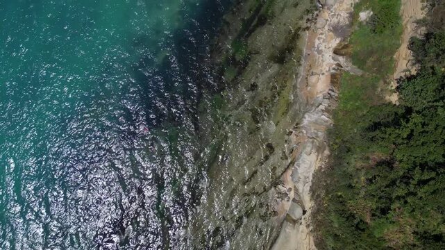 Aerial Top Down View of Forest Cliff and Wild Sandy Beach with Sea Waves