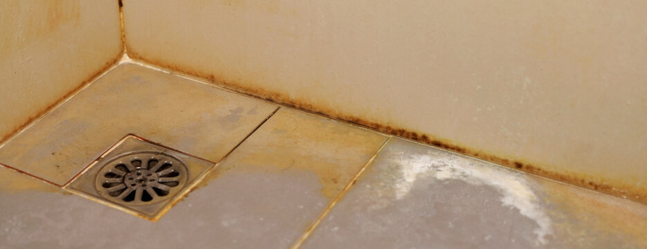 bathroom with a toilet. dirty joints between the tiles, toxic black mold in the corner. Clogged and dirty sewer pipes floor drain.	
