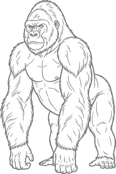 gorilla vector