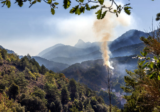 Starting forest fire very near the village of Axat, in the French Pyrenees (Aude department)